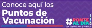 PUNTOS VACUNACION